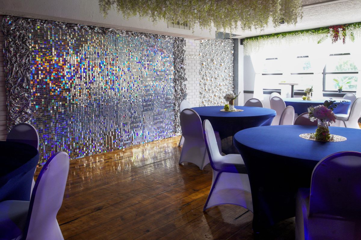 a forest after an apocalypse