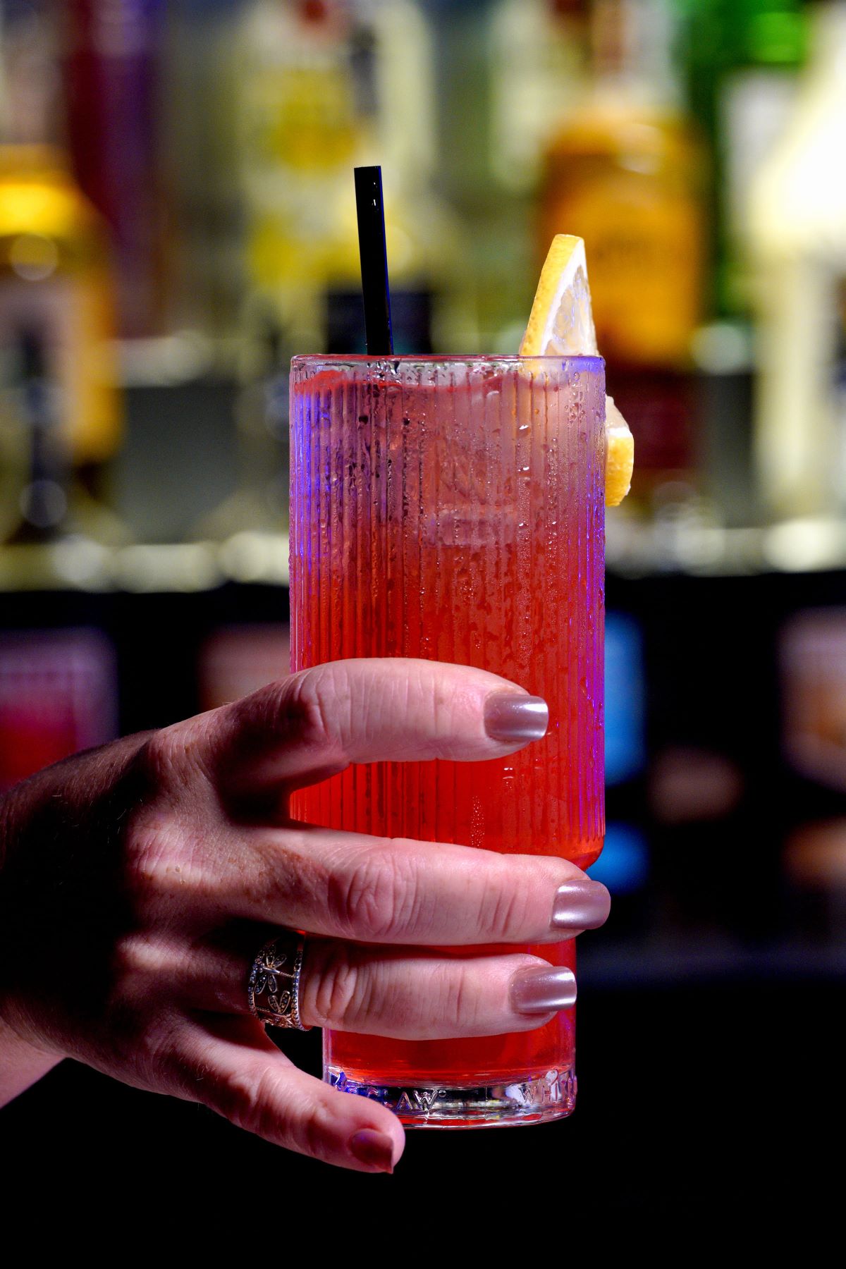 a forest after an apocalypse